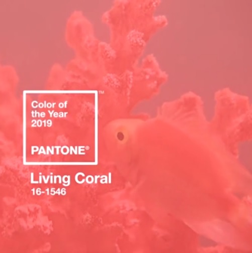 pantone 2019